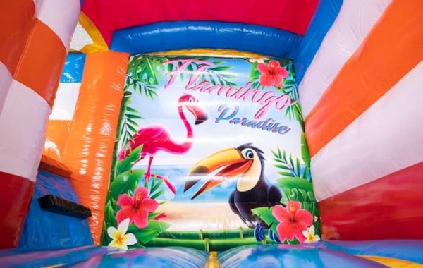 Mini-splash-bounce-flamingo-springkussen-5_0