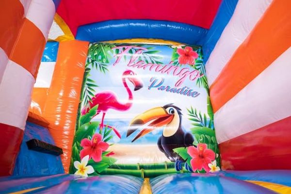 Mini-splash-bounce-flamingo-springkussen-5_0